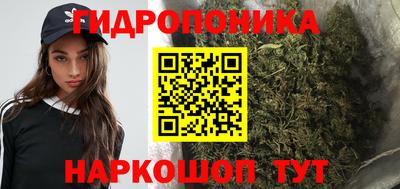 ECSTASY Славгород